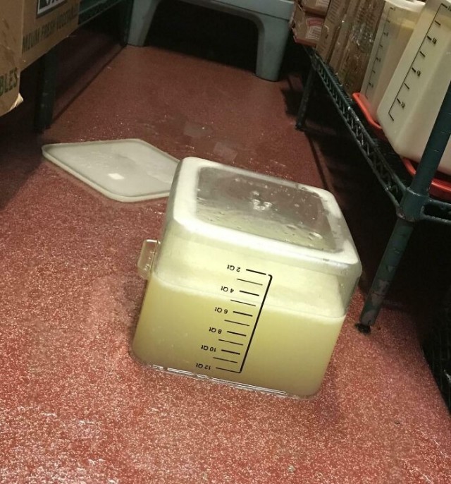 Вам всё равно никто не поверит: 30 фото удивительных случаев от пользователей Сети