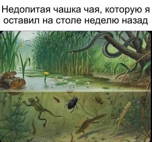 Завалялось тут случайно немного забавных картинок