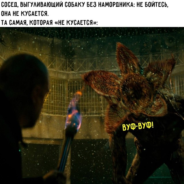 Так себе картинки 06.07.25