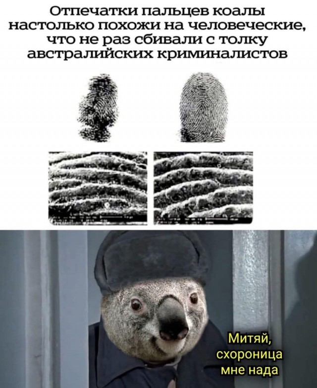 Неожиданно...