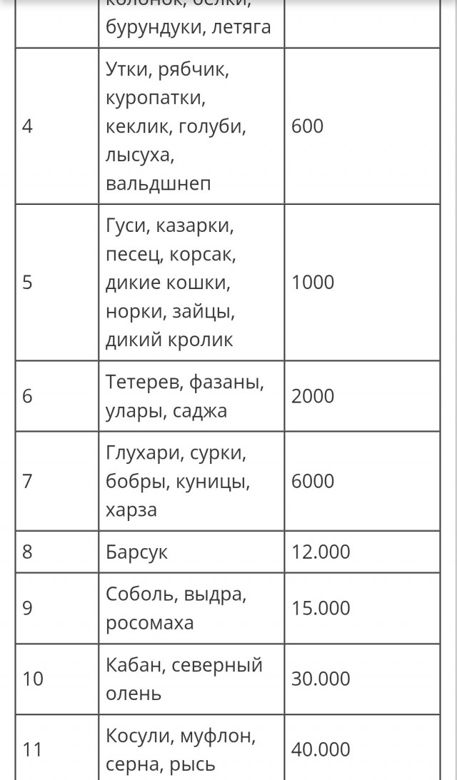 Российским водителям грозит арест за ДТП с голубями