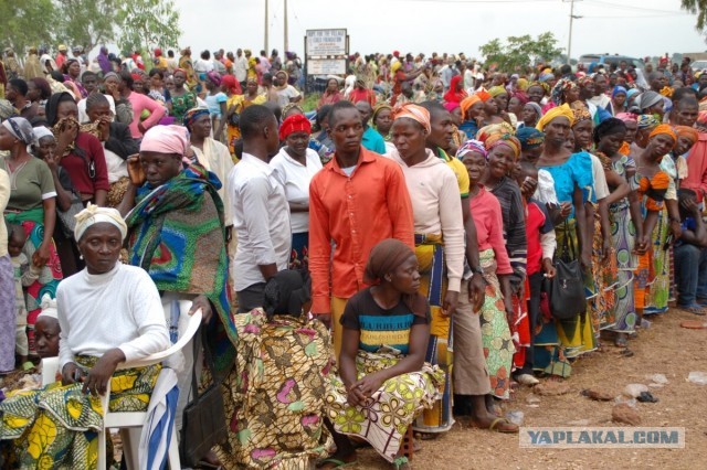 США разработали три варианта уничтожения боевиков в Нигерии