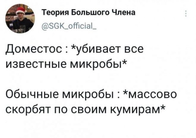 Веселые картинки в маленькую пятницу (12.11)