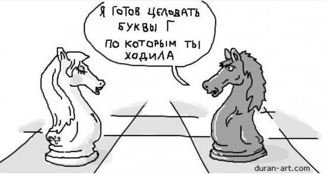 Нуштош 27.01.2026. Шахматный спецвыпуск