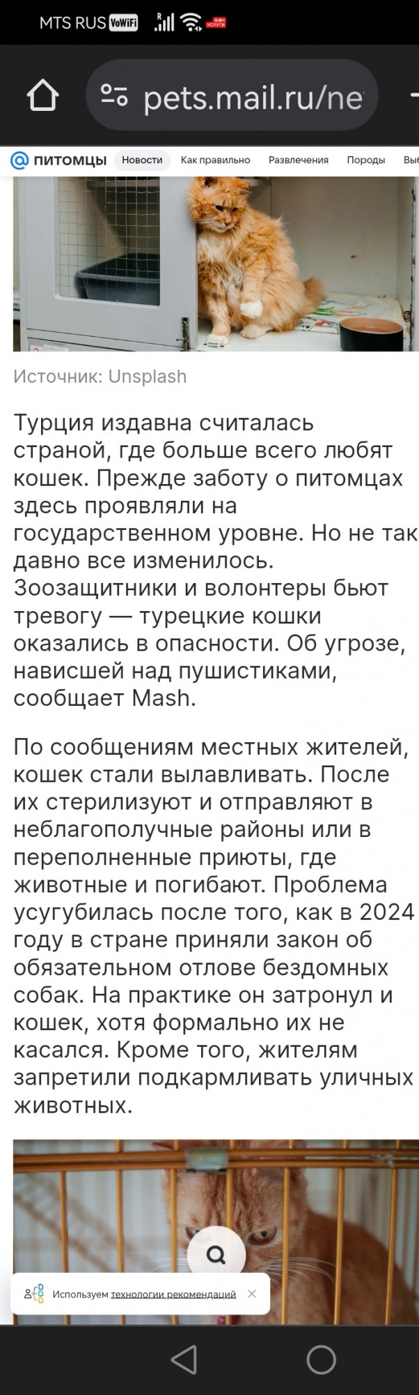 «Кто укроет собаку — пойдёт за собакой»