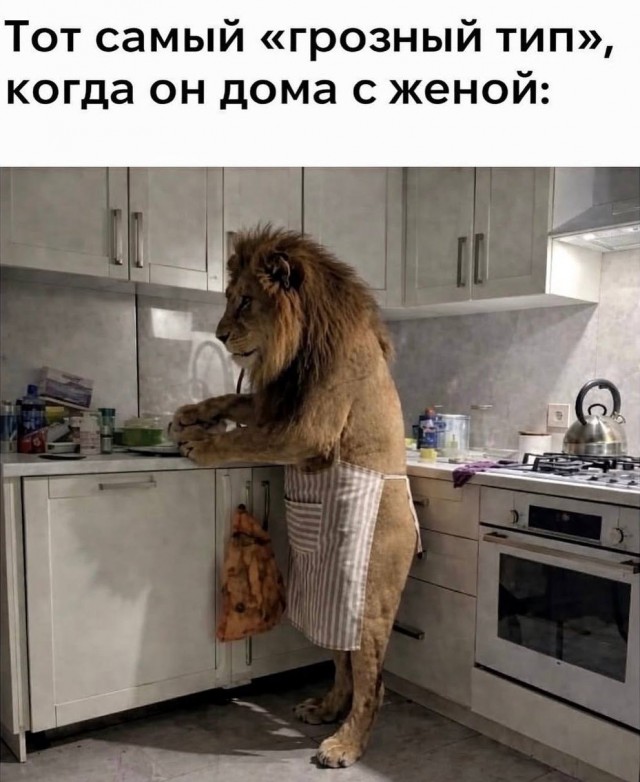 Так себе картинки 06.03.26