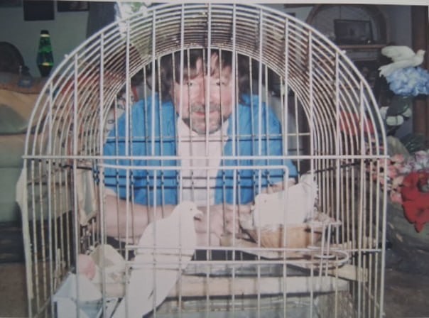 Старейший в мире голубь умер в 44 года