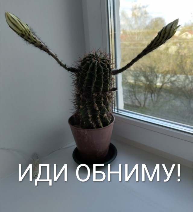 Саня скоро расцветёт