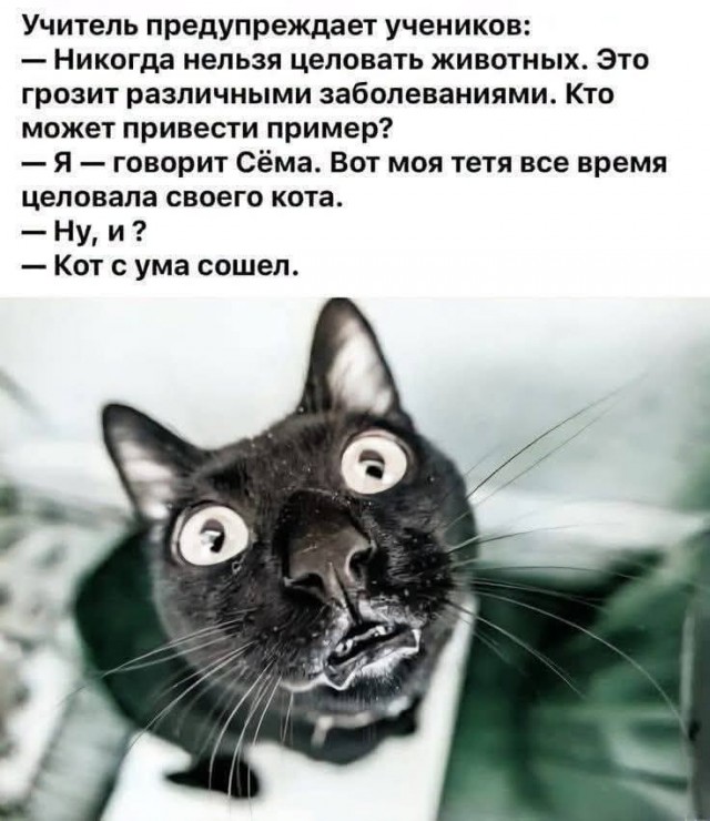 Картинки для деградации 251 (разной степени свежести)
