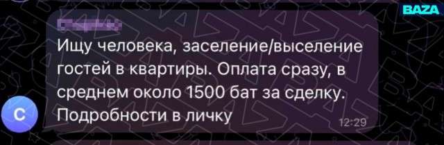 Российских релокантов в Таиланде разводят обещанием лёгкой подработки