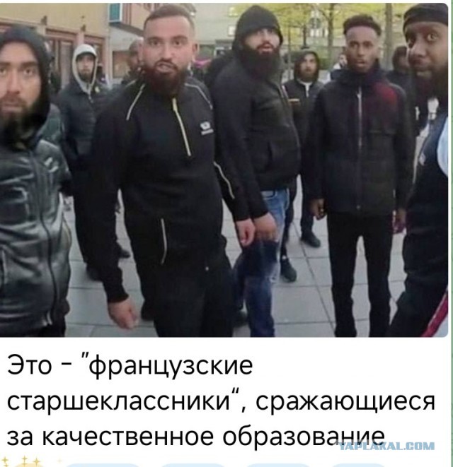 Тем временем во Франции