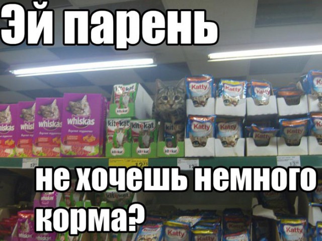 Менеджер по продажам