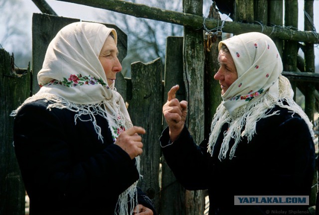 В затерянном мире
