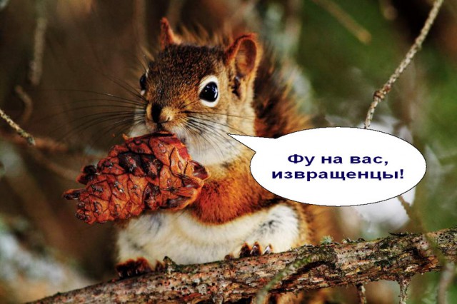 Брачное агентство «ГАРАЖ»