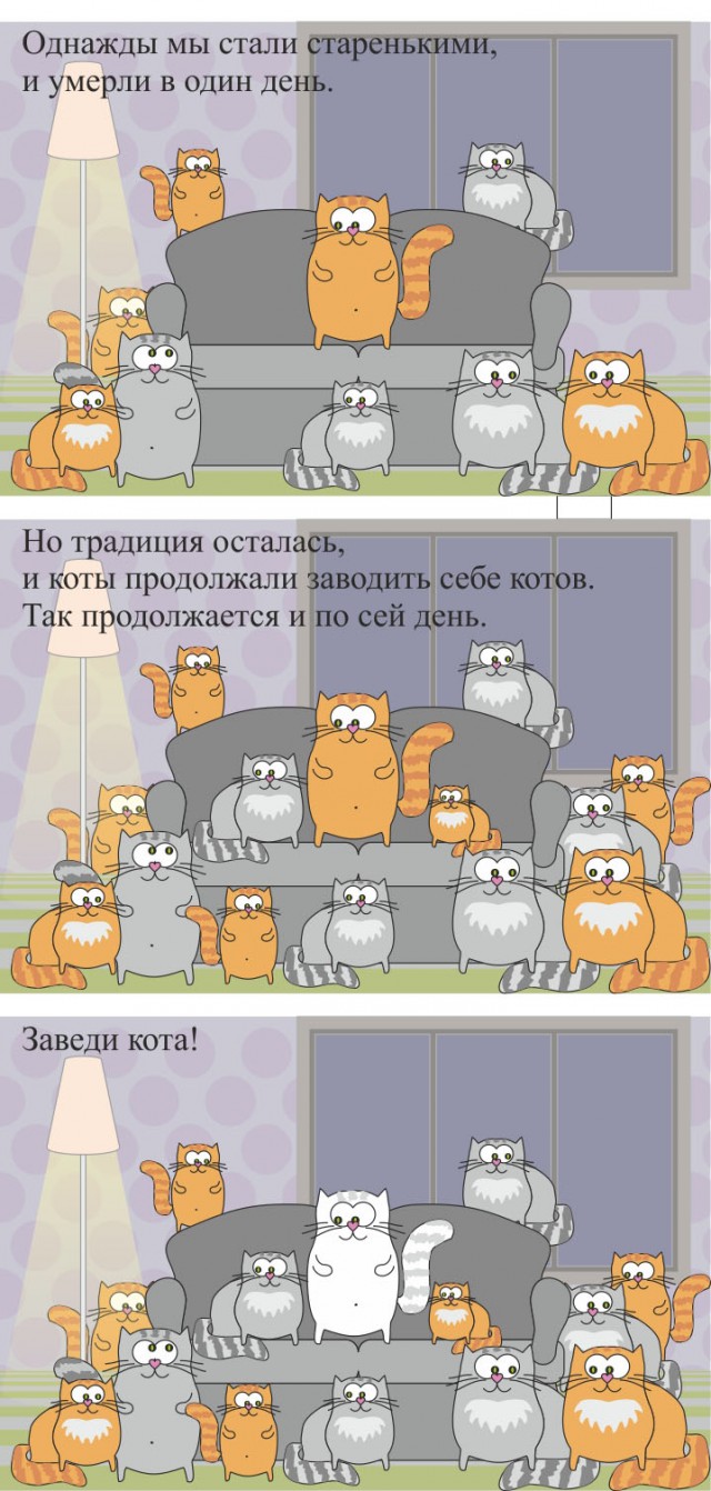 Заведи кота!