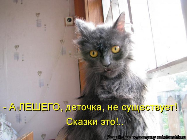 25 котофотоприколов.