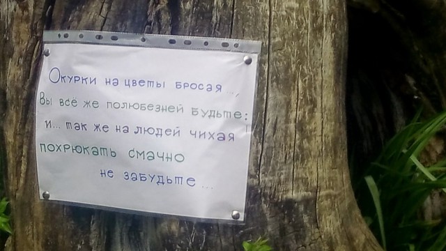 Подборка веселостей из сети