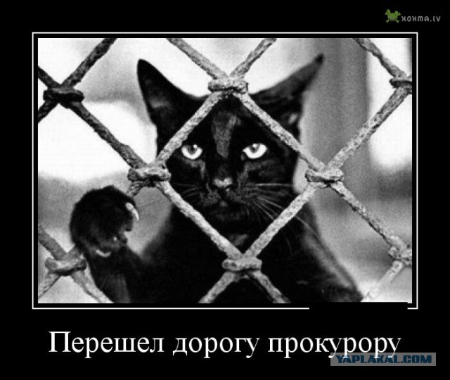 Беспредел помощника прокурора при ДТП!