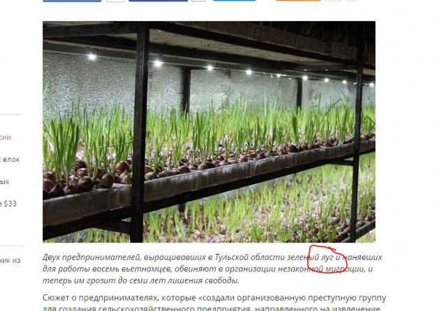 Будни тульской организованной преступности