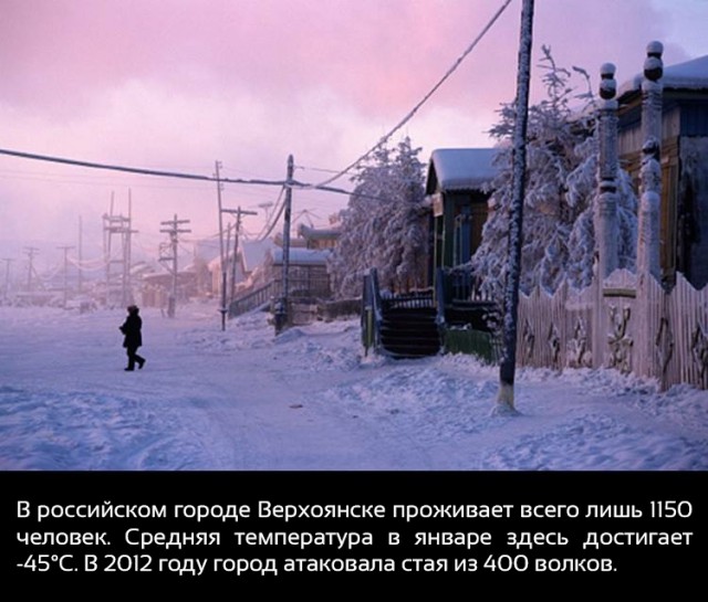 21 занимательный факт