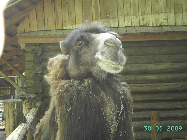 Подборка картинок 20.02.16