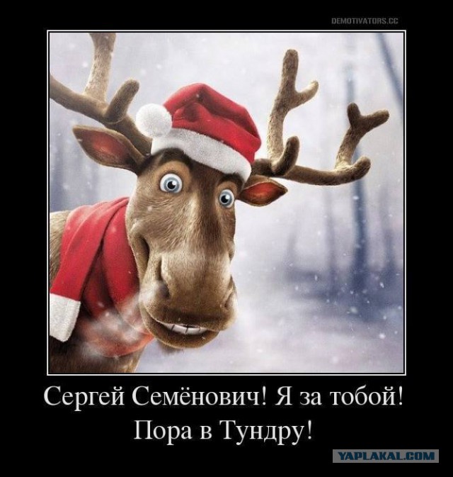 Собянин проиграл дело по сносу торгового павильона в Москве