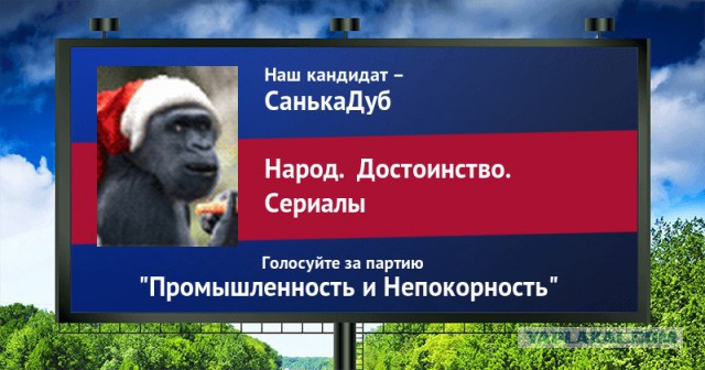 Стань кандидатом от ЯПа