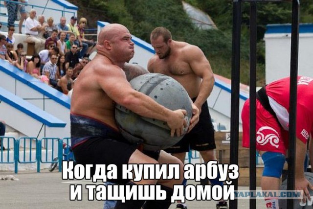Смешные картинки из сети на 10.10.16
