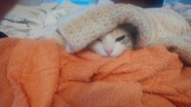 Когда сказали, что скоро станешь отцом.