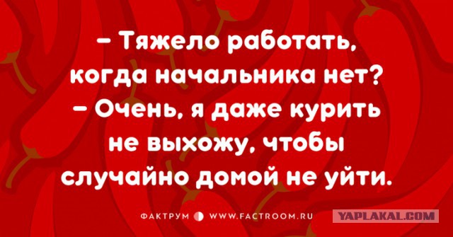 Высказывания из Интернета
