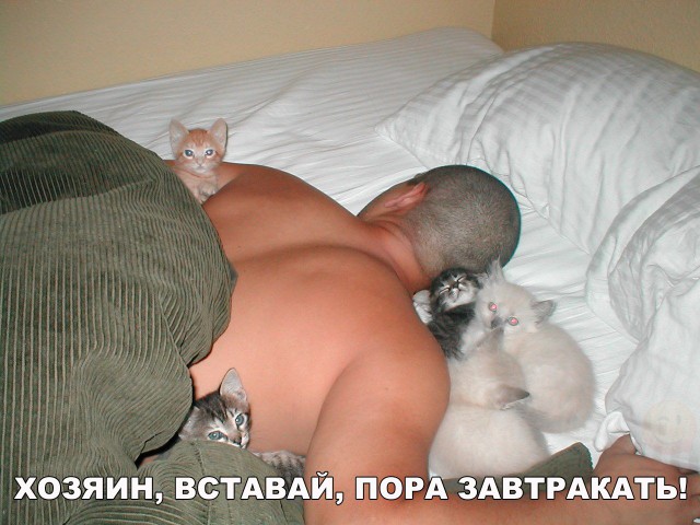 Подборка безудержного веселья