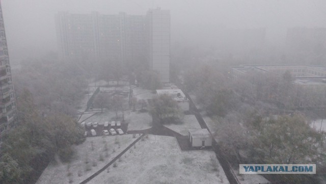 Голицыно, Подмосковье. 100-е февраля.