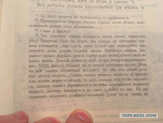 Идиот утопил лошадь