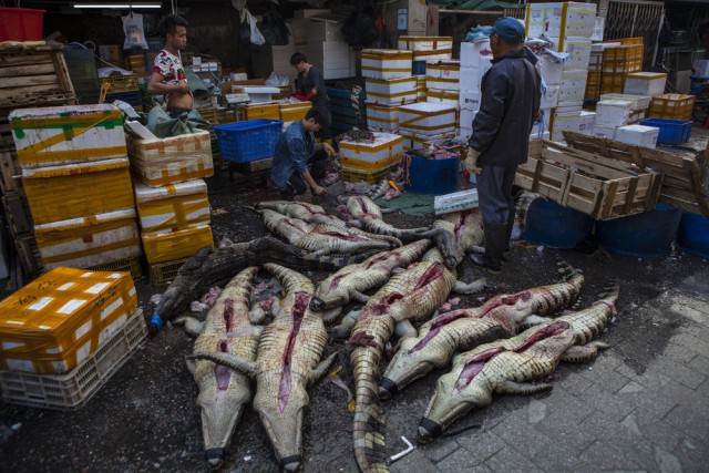Китайский рынок морепродуктов