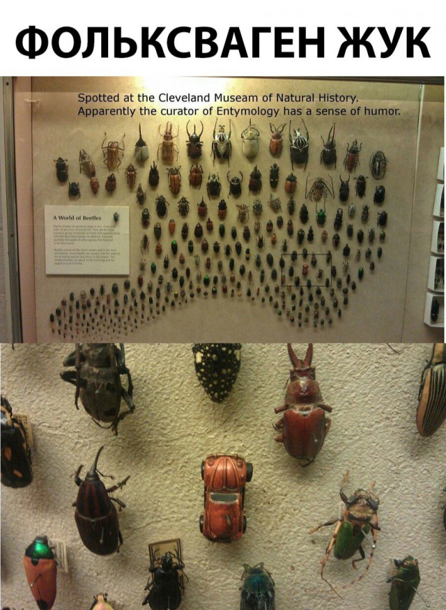 Нестандартный юмор