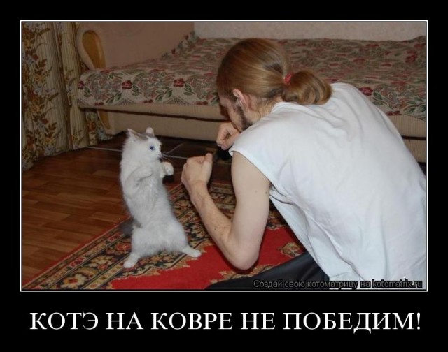Последний бой.