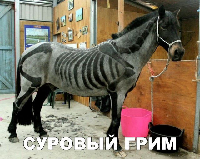 Милые животные. Мимиметр сломался