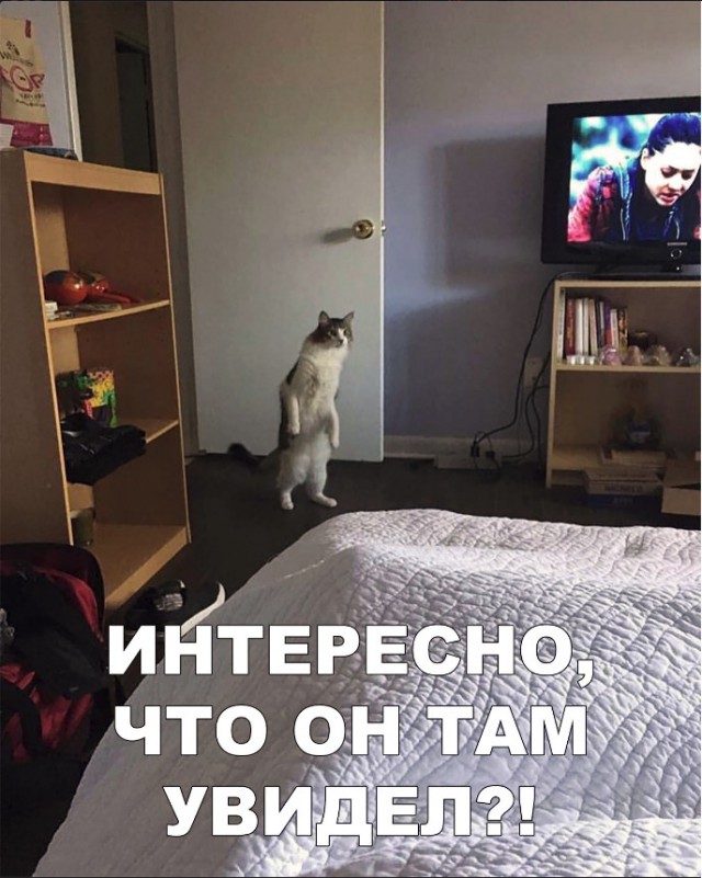 Прикольные картинки абавсём