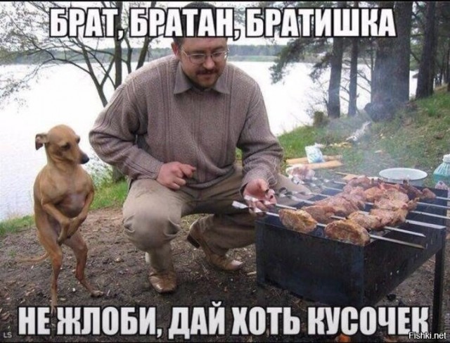 Всякая всячина #8