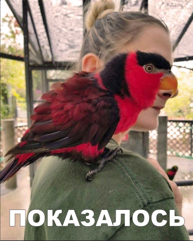 Нестандартный юмор
