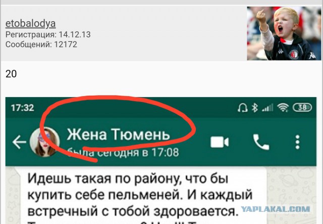 Прикольные комментарии и высказывания из Сети