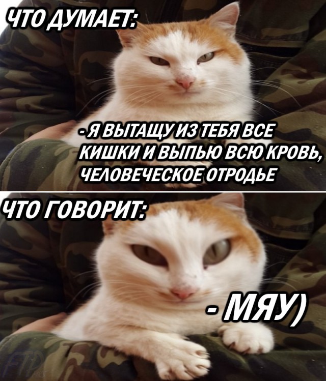 Немного картинок с надписями и без - 17