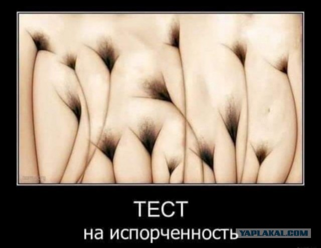Бредзона 28.02.2020