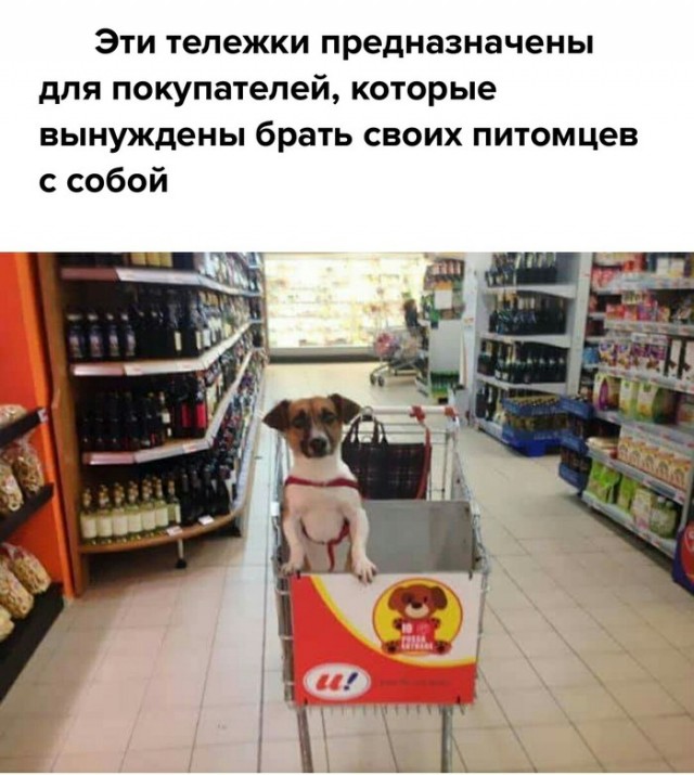 23 крутых продавца, у которых всегда есть пара шикарных идей, как продать все и даже больше