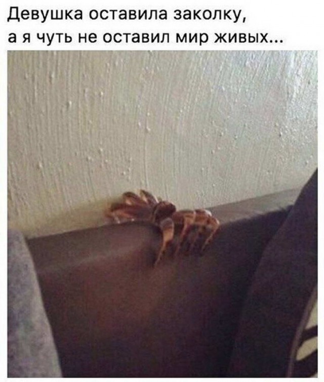 Бредзона 14.04.2020