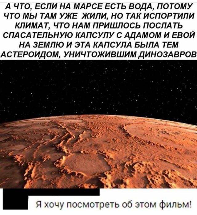 Мышь доказала, деньги не главное