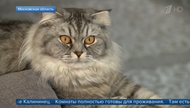 Жилье контрабасам - "достойное жилище" для военных на первом канале