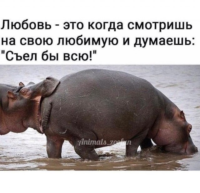 На те же грабли