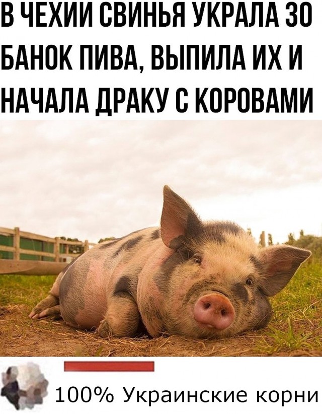 Прикольные и просто красивые картинки 28.07.2020