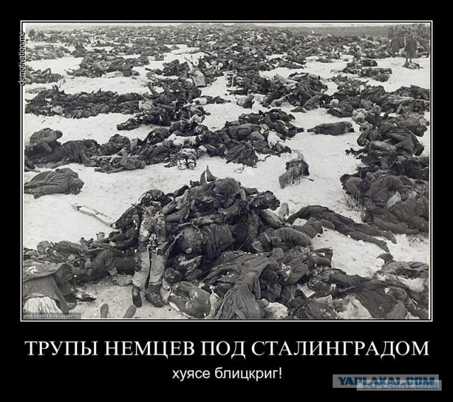 "Рус, на автомат, дай буханка хлеб!" Как выживали обреченные немцы в Сталинграде?